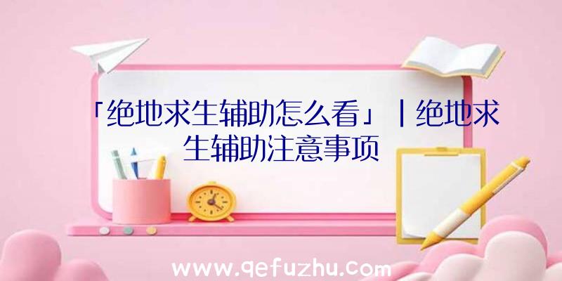 「绝地求生辅助怎么看」|绝地求生辅助注意事项